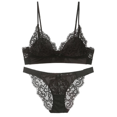 49176598085961|49176598118729|49176598151497|49176598184265